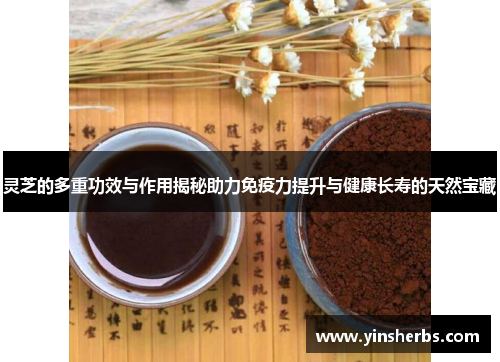 灵芝的多重功效与作用揭秘助力免疫力提升与健康长寿的天然宝藏