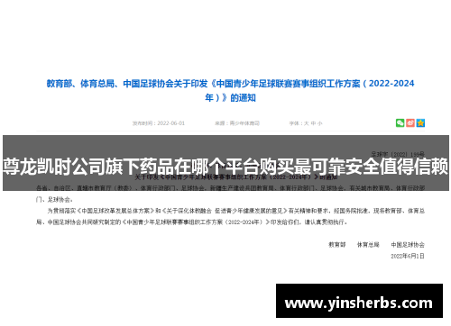 尊龙凯时公司旗下药品在哪个平台购买最可靠安全值得信赖