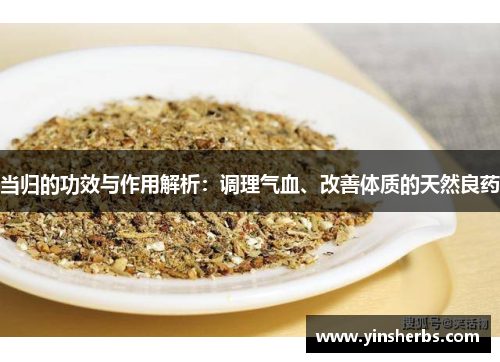 当归的功效与作用解析：调理气血、改善体质的天然良药