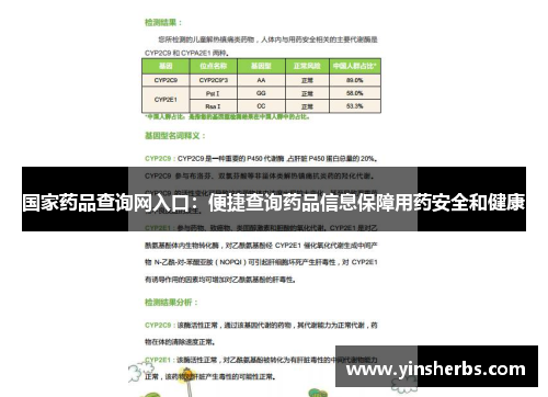 国家药品查询网入口：便捷查询药品信息保障用药安全和健康
