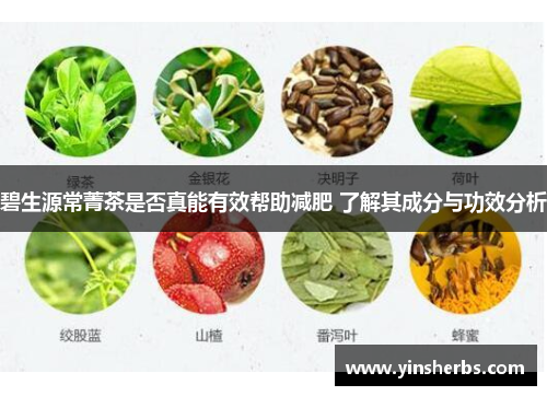 碧生源常菁茶是否真能有效帮助减肥 了解其成分与功效分析